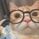 ｔａｎｉｗｈａｓ Discord Server Icon