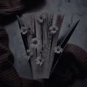 Archives Of The Archives