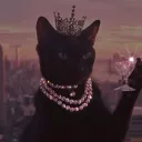 Kittyverse 🌸