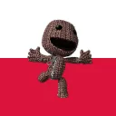 ★ LittleBigPoland / LittleBigPolska