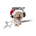 sirz's server discord icon