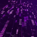 Phantom Network