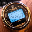 Timex Datalink Club