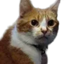 Loaf The Video Game Speedrunning