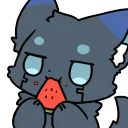 【泰斯】寒舍