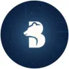 BAIR_AI