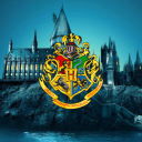 ê§â€¢âŠ¹Ù­ð™·ðšŠðš›ðš›ðš¢ ð™¿ðš˜ðšðšðšŽðš›Ù­âŠ¹â€¢ê§‚ Server Icon