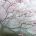 （≧∇≦）pervert central Discord server icon