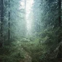 Hangout Lounge discord icon