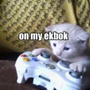 Mice' streamer pro