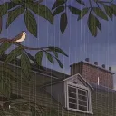 The safe place's icon