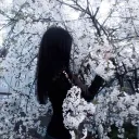 july 🎄 250+ guilds