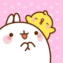 ꒰ 　　✿𝆬˖ 　　miwi