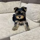 🌱Туса Никаса🌱