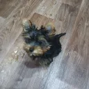 🌱Туса Никаса🌱