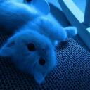 Flwin Discord Server Icon