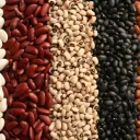 Beanz’s Beanz