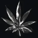 🌿Marijuana🌿