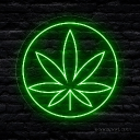 Mint squad Discord server icon