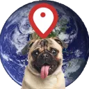 Geo Pug Group