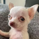 Noches de insomnio Discord Server Icon