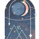星夜の森