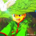 spider's world