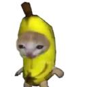 Banana Cat türk server Discord Server Icon