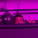 CrazNeax's Cave Discord Server Icon