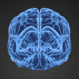 CB-1 — мониторинг Discord сервера, статистика и рейтинг