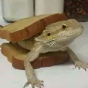 ChillingServer's icon