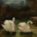 𝐄𝐥𝐞𝐠𝐚𝐧𝐜𝐞 𝐂𝐞𝐧𝐭𝐫𝐚𝐥