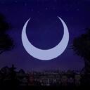 Tomb of Velleities Discord Server Icon