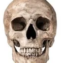 小貓擁抱' Discord server icon