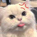 kittens n bitches 5.0 Server Icon