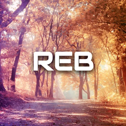 REB — мониторинг Discord сервера, статистика и рейтинг