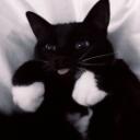 My Safe Place Discord Server Icon