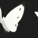 Super cool server name Discord Server Icon