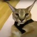 Blackhen Community Discord server icon