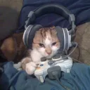 🍥𝚃𝙷𝙴 𝙷𝙸𝙳𝙳𝙴𝙽 𝚂𝙾𝚄𝙿