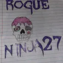 Rogue Dojo