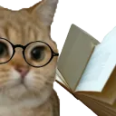 La bibliothèque des chatons