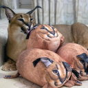 The Fluffy Stash Server Icon