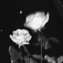 moonoon. — Дискорд Сервер