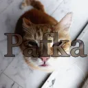 Five Night's at Pafkas