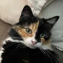 Toasts Basement Discord Server Icon