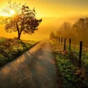 Outside - Survival, Worldbuilding, Evolution