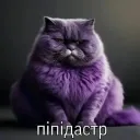 Блок "Пiпiдастров"