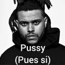 Hello Kitty Fans Discord Server Icon