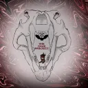 𝔗𝔥𝔢 ℭ𝔞𝔳𝔢 𝔓𝔯𝔬𝔧𝔢𝔠𝔱